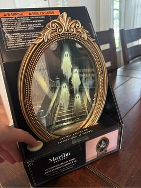 Martha Stewart Staircase LED Haunted Ghost Mirror
